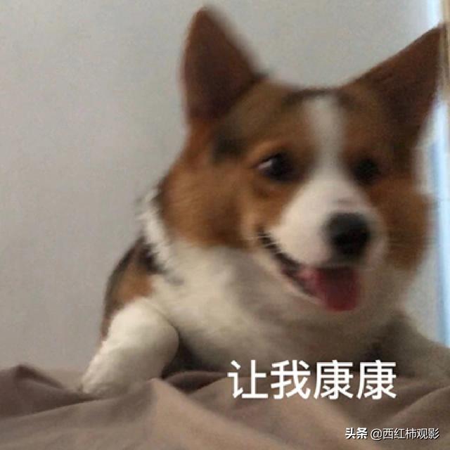 古裝劇推薦女扮男裝（盤點國產(chǎn)劇中優(yōu)質(zhì)的女扮男裝）(3)