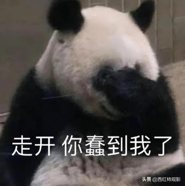 古裝劇推薦女扮男裝（盤點國產(chǎn)劇中優(yōu)質(zhì)的女扮男裝）(2)