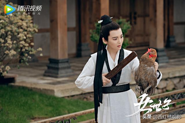 古裝劇推薦女扮男裝（盤點國產(chǎn)劇中優(yōu)質(zhì)的女扮男裝）(7)