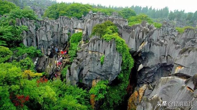 昆明旅游經(jīng)典路線（5條玩轉(zhuǎn)昆明的最佳線路）(3)